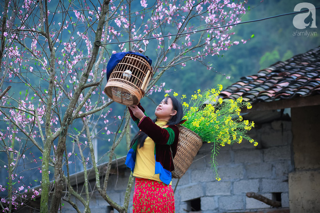 Đào rừng bung nở, gọi mùa xuân đẹp lịm tim trong những bản làng Hà Giang - Ảnh 8.