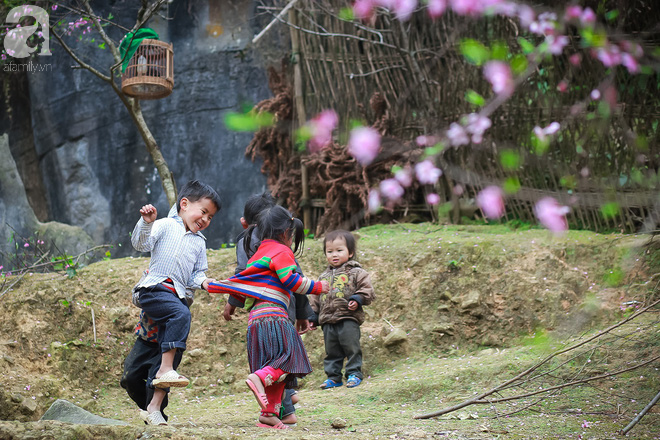 Đào rừng bung nở, gọi mùa xuân đẹp lịm tim trong những bản làng Hà Giang - Ảnh 9.