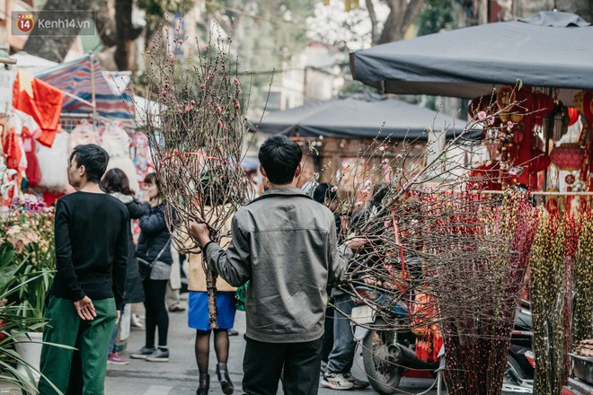 Chùm ảnh: Ghé thăm chợ hoa truyền thống lâu đời nhất Hà Nội - cả năm chỉ họp đúng một phiên duy nhất - Ảnh 4.