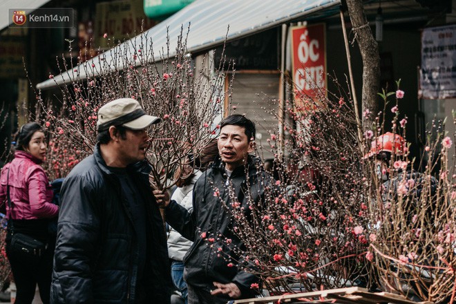 Chùm ảnh: Ghé thăm chợ hoa truyền thống lâu đời nhất Hà Nội - cả năm chỉ họp đúng một phiên duy nhất - Ảnh 6.