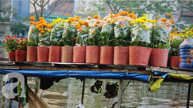 Cận Tết, ghé bến Bình Đông coi chợ nổi, tìm lại Sài Gòn xưa trong cảnh giao thương trên bến dưới thuyền - Ảnh 5.