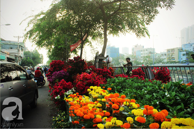 Cận Tết, ghé bến Bình Đông coi chợ nổi, tìm lại Sài Gòn xưa trong cảnh giao thương trên bến dưới thuyền - Ảnh 4.