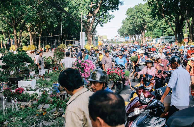 Người bán hoa Tết nghẹn lòng kể chuyện bị ép giá ngày 30: “Mong mọi người hãy bỏ tâm lý mua hoa giờ chót - Ảnh 3.