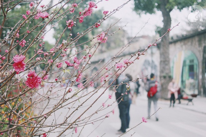 Những ngày cuối năm, đi chợ Tết để mua về niềm vui, gợi về ký ức thời ông bà anh - Ảnh 31.