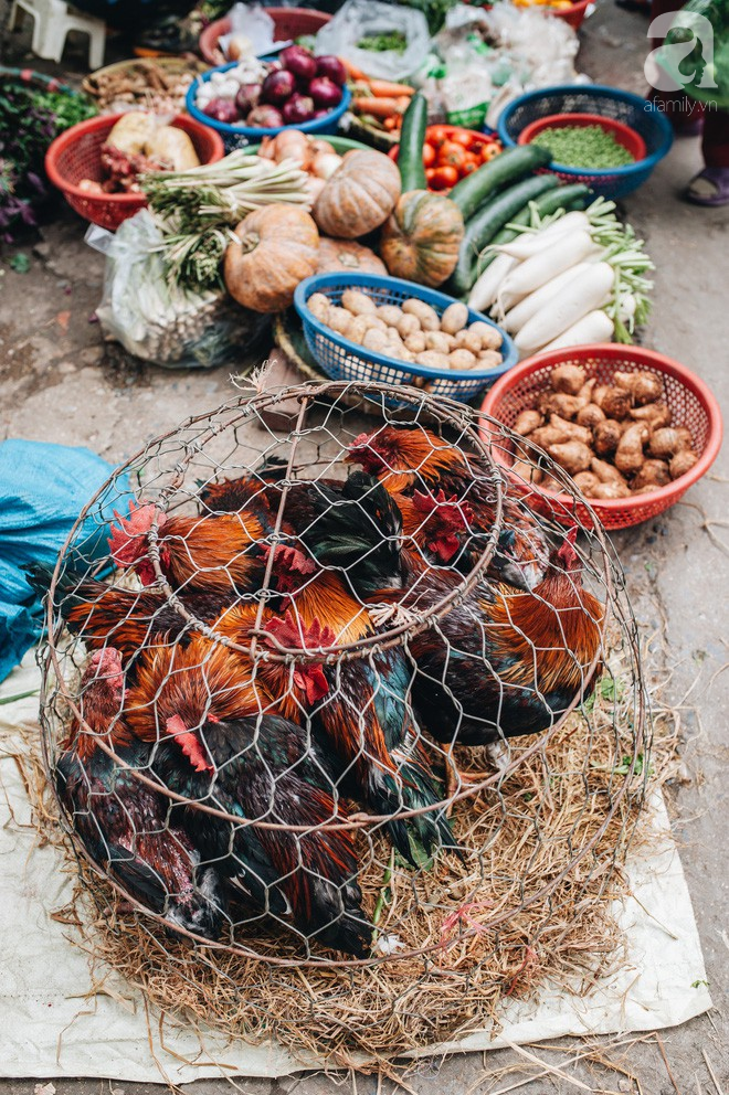 Những ngày Tết phồn hoa, vẫn còn một ngôi chợ cũ xưa thong thả như thời bao cấp giữa lòng Hà Nội - Ảnh 21.