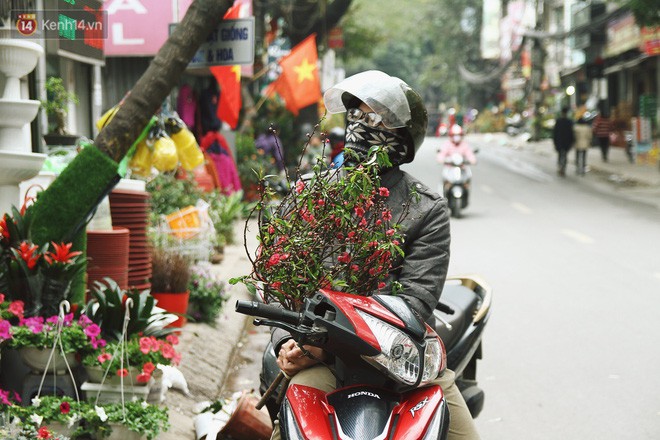 Đào tiến vua đại náo thị trường hoa Tết, giá bán lên tới hàng chục, hàng trăm triệu đồng - Ảnh 2.