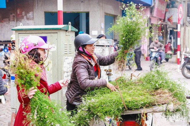 Tắm nước mùi già - nghi thức trịnh trọng trong đêm trừ tịch để đón năm mới của người miền Bắc - Ảnh 5.