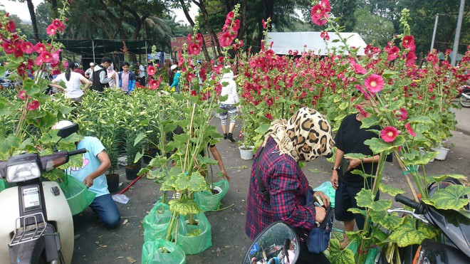 Tới giờ dẹp chợ hoa xuân ở Sài Gòn, cây kiểng bán tháo rẻ như cho nhưng vẫn bị người dân ép giá - Ảnh 5.