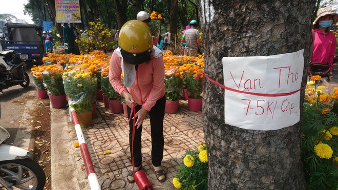 Tới giờ dẹp chợ hoa xuân ở Sài Gòn, cây kiểng bán tháo rẻ như cho nhưng vẫn bị người dân ép giá - Ảnh 8.