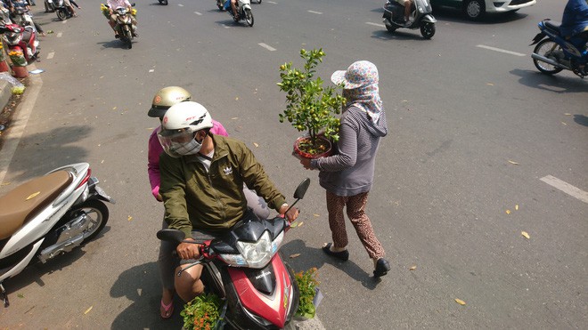 Tới giờ dẹp chợ hoa xuân ở Sài Gòn, cây kiểng bán tháo rẻ như cho nhưng vẫn bị người dân ép giá - Ảnh 9.