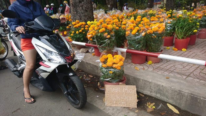 Tới giờ dẹp chợ hoa xuân ở Sài Gòn, cây kiểng bán tháo rẻ như cho nhưng vẫn bị người dân ép giá - Ảnh 7.
