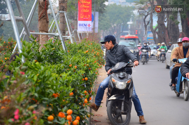 Người mua hoa lý giải việc phải chờ đến ngày 29, 30 Tết: Cũng vì nhiều người bán hét giá cao quá! - Ảnh 7.