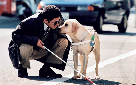 Năm Mậu Tuất và 5 câu chuyện cảm động về loài chó của điện ảnh Nhật Bản - Ảnh 4.