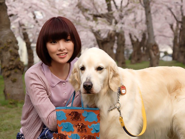 Năm Mậu Tuất và 5 câu chuyện cảm động về loài chó của điện ảnh Nhật Bản - Ảnh 8.