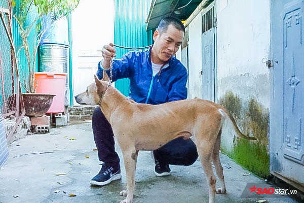 Người 30 năm nuôi chó Phú Quốc: ‘Tôi từng khóc, đóng cửa giao dịch 7 ngày để tưởng nhớ con thủ lĩnh’ - Ảnh 2.