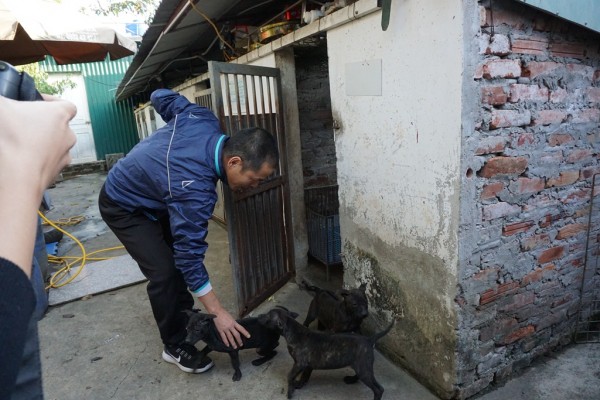 Người 30 năm nuôi chó Phú Quốc: ‘Tôi từng khóc, đóng cửa giao dịch 7 ngày để tưởng nhớ con thủ lĩnh’ - Ảnh 15.