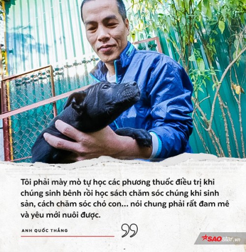 Người 30 năm nuôi chó Phú Quốc: ‘Tôi từng khóc, đóng cửa giao dịch 7 ngày để tưởng nhớ con thủ lĩnh’ - Ảnh 5.