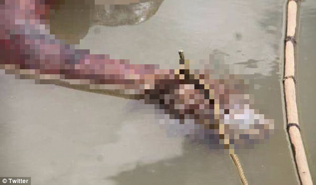 Bức hình chú đười ươi bị bắn 17 phát, đốt trụi lông, thi thể không toàn vẹn bị quăng xuống sông gây phẫn nộ trên MXH - Ảnh 3.