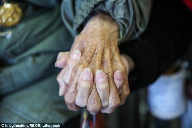 Cái nắm tay thật chặt của cặp vợ chồng già sống với nhau tới bách niên giai lão gây xúc động mạnh - Ảnh 1.