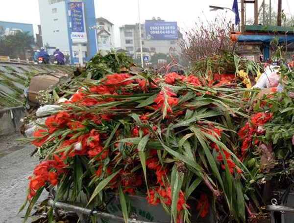 Hà Nội: Hoa tươi bằng 1/10 so với trước Tết, dân buôn vứt đổ đống tại chợ Quảng An - Ảnh 1.