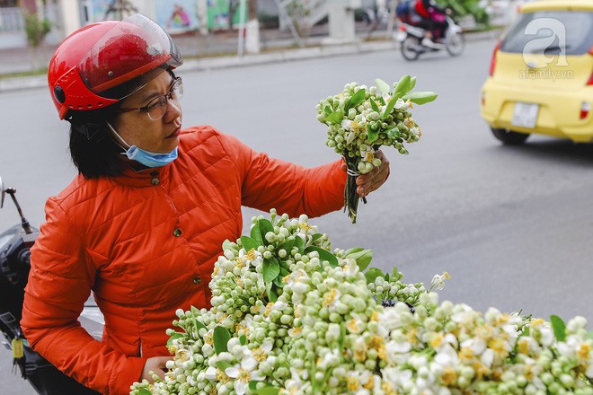 Hà Nội mùa thơm thanh tao với sắc trắng tinh khôi của hoa bưởi - Ảnh 9.