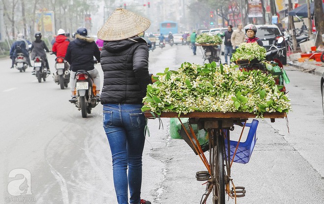 Hà Nội mùa thơm thanh tao với sắc trắng tinh khôi của hoa bưởi - Ảnh 15.