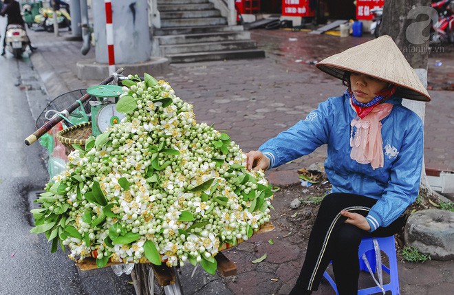 Hà Nội mùa thơm thanh tao với sắc trắng tinh khôi của hoa bưởi - Ảnh 17.