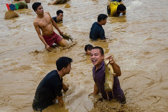 Hàng trăm người xuống ao dầm bùn, chịu rét bắt cá lấy may - Ảnh 3.