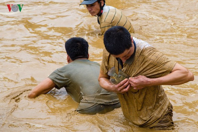 Hàng trăm người xuống ao dầm bùn, chịu rét bắt cá lấy may - Ảnh 9.