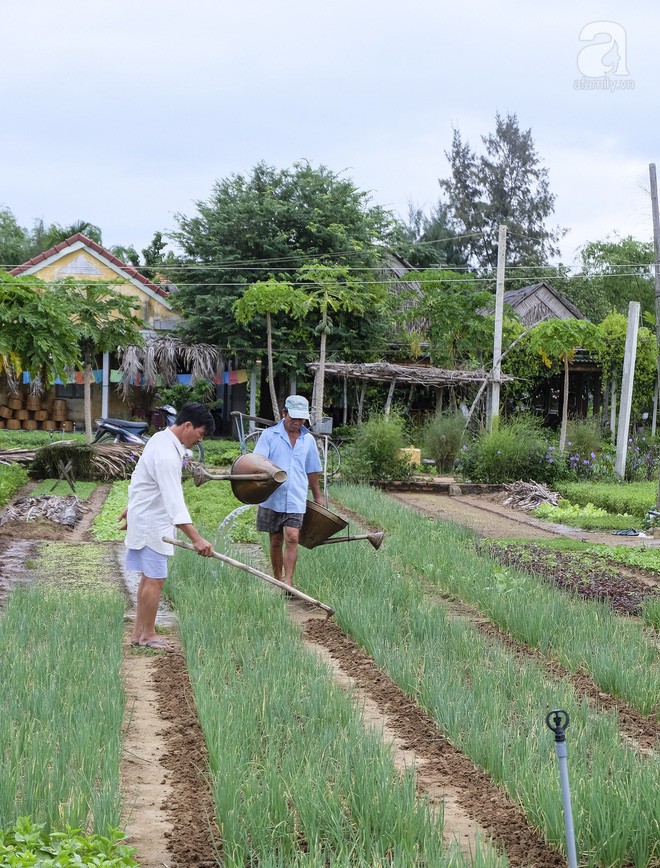 Làng rau Trà Quế - điểm đến cũ mà nhiều bất ngờ, nhất định nên ghé khi đến Hội An - Ảnh 3.