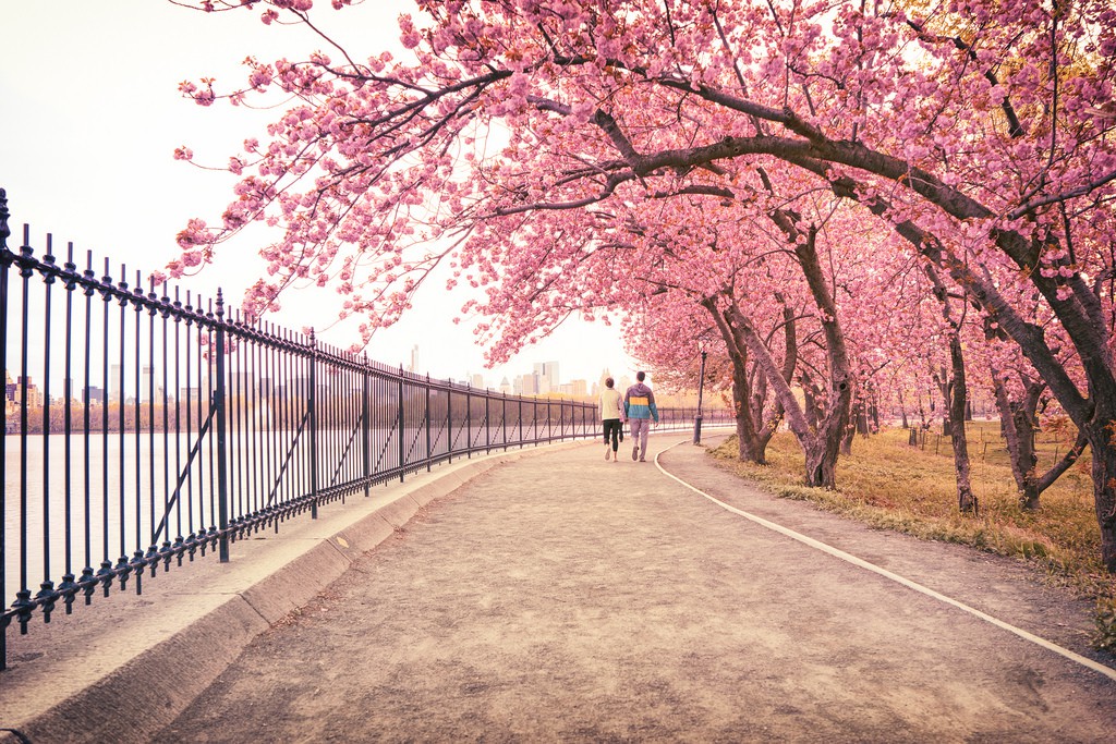 Những phong cảnh mùa xuân rực rỡ nhất thế giới