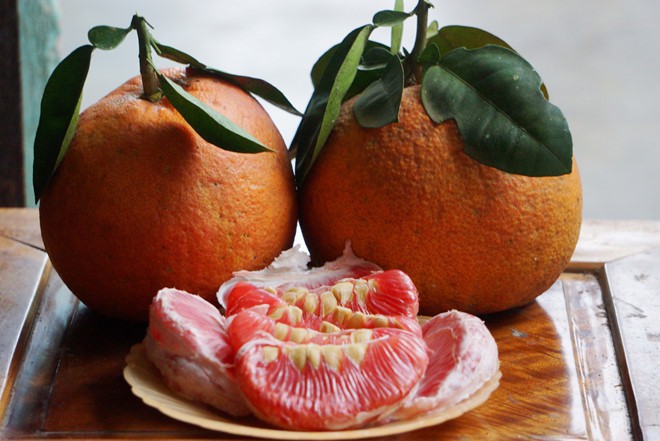 Điểm lại những loại trái cây tiến vua ngon nức tiếng của Việt Nam - Ảnh 2.
