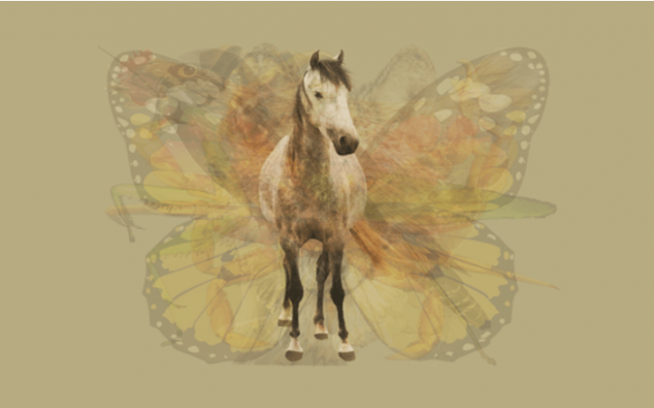 Nhìn vào bức tranh này đi, con vật đầu tiên mà bạn nhìn thấy sẽ bật mí đặc điểm thú vị về tính cách của bạn