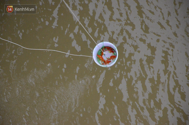 Hà Nội: Nhóm sinh viên chịu lạnh đứng trên cầu Long Biên vận động mọi người thả cá không thả rác - Ảnh 5.