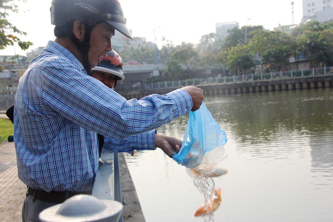 Tiễn Táo Quân về trời, nhiều gia đình đi phóng sinh cá từ sáng sớm - Ảnh 15.