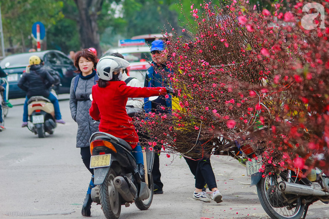 Hoa đào như những áng mây xa, nhuộm hồng từng khoảng trời Hà Nội - Ảnh 1.