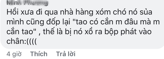 Dõng dạc đứng cãi nhau tay đôi với chó, cậu bé khiến cư dân mạng thích thú vì quá đáng yêu - Ảnh 7.