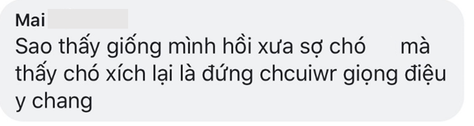 Dõng dạc đứng cãi nhau tay đôi với chó, cậu bé khiến cư dân mạng thích thú vì quá đáng yêu - Ảnh 9.