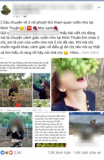 Hai cô gái phượt thủ từng đi Sài Gòn - Hà Nội trong vòng 40 tiếng lại gây tranh cãi khi tố chủ vườn nho chặt chém? - Ảnh 3.