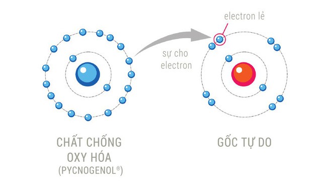 Sự thật về thần dược chống ung thư: Không tác dụng, có khi còn khiến khối u phát triển - Ảnh 1.