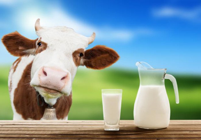 Chuyên gia Vũ Thế Thành: So về thành phần dinh dưỡng, sữa mẹ thua xa sữa bò, nhưng... - Ảnh 2.