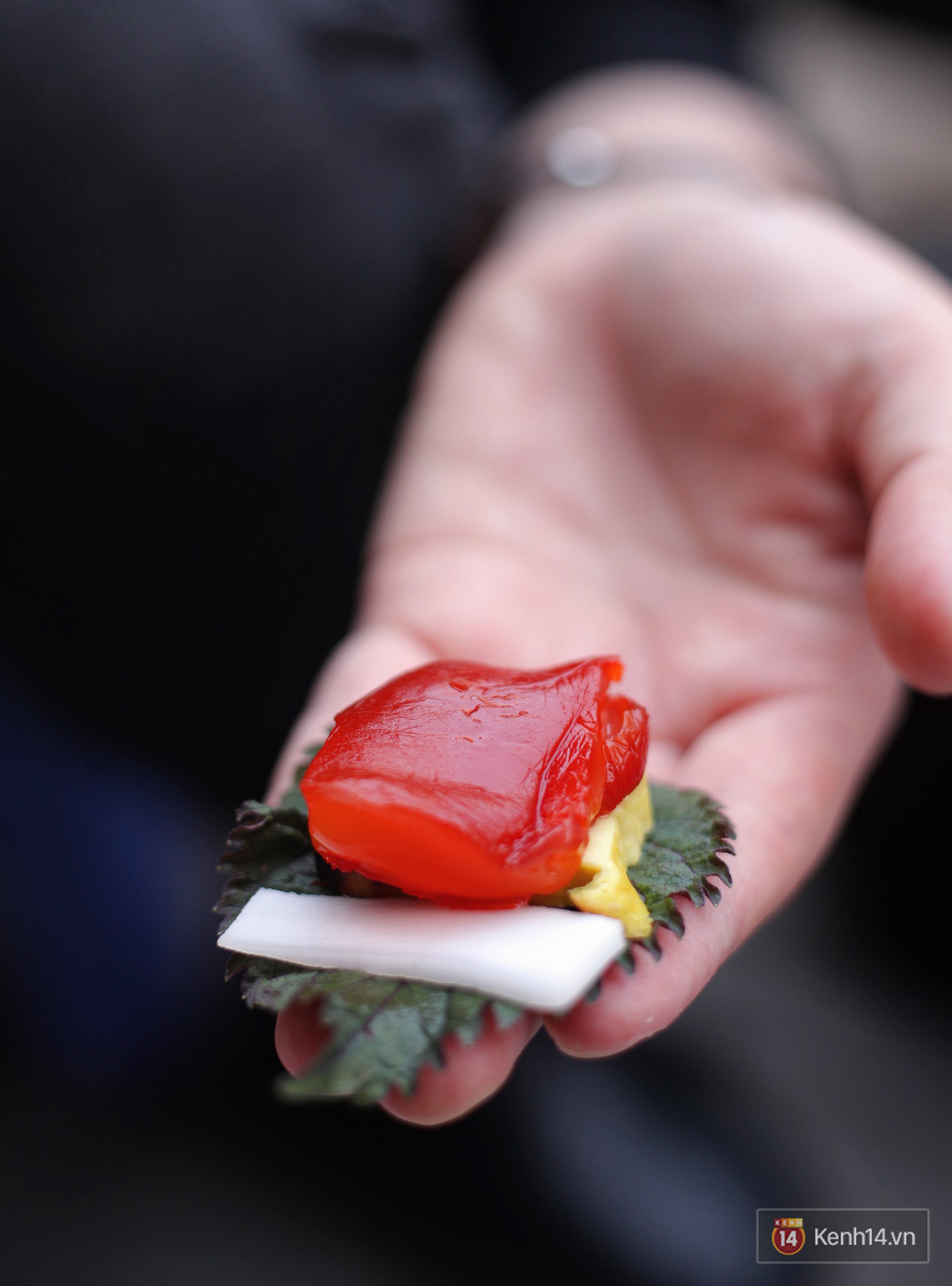 Nộm sứa đỏ chấm mắm t&ocirc;m - thức qu&agrave; đ&atilde; thử l&agrave; dễ ghiền, rất hợp tiết giao m&ugrave;a H&agrave; Nội - Ảnh 4.