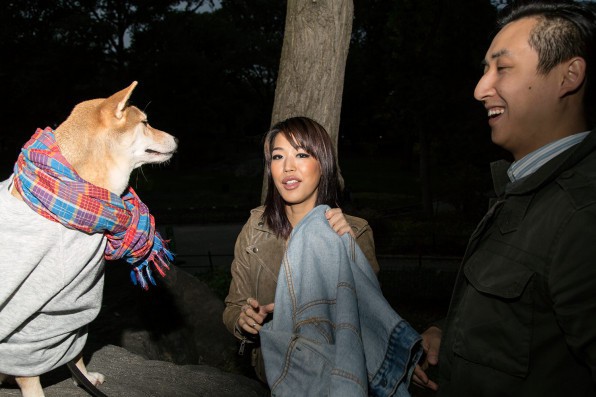 Chú chó Shiba là gương mặt đại diện cho nhiều hãng thời trang lớn, kiếm hơn 300 triệu mỗi tháng - Ảnh 4.