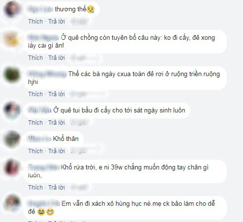 Mẹ bầu bụng to vượt mặt vẫn đi cấy ngoài ruộng khiến ai nhìn cũng thương - Ảnh 4.