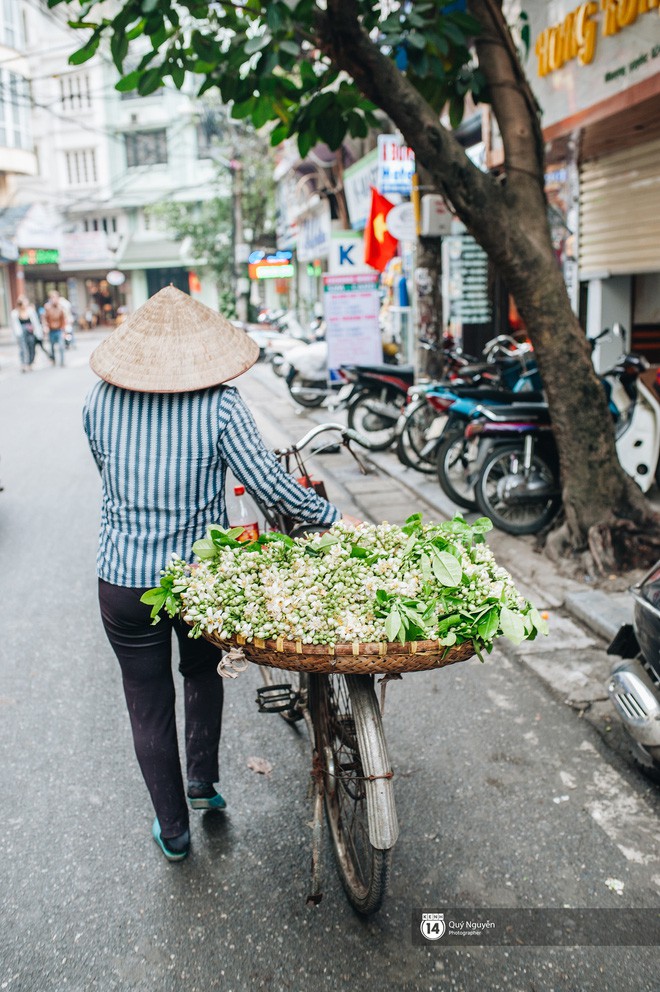 Mùa hoa bưởi phủ trắng phố phường, nhưng được mấy người biết đến các món ăn với hoa bưởi này? - Ảnh 7.