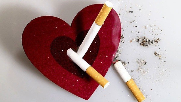 Điều gì sẽ xảy ra với cơ thể, ngay từ điếu thuốc đầu tiên bạn thử trong đời? - Ảnh 2.