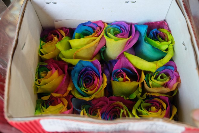 Đại gia Hà Nội chi gần 20 triệu mua 300 bông hồng ngoại tặng bạn gái dịp 8/3 - Ảnh 1.