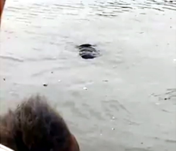 Hà Nội: Đang đi dạo bất ngờ phát hiện thi thể người đàn ông nổi trên mặt hồ Tây - Ảnh 1.