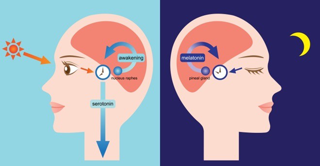 Tiết lộ nguyên nhân bất ngờ khiến 2 vợ chồng cứ ôm nhau ngủ im thin thít mỗi khi trời mưa - Ảnh 3.