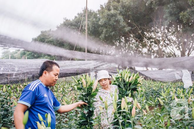 8/3 hoa ly làng Tây Tựu vẫn mất giá, người dân bình thản bảo nhau: Không sao đâu, mùa sau sẽ phất! - Ảnh 5.